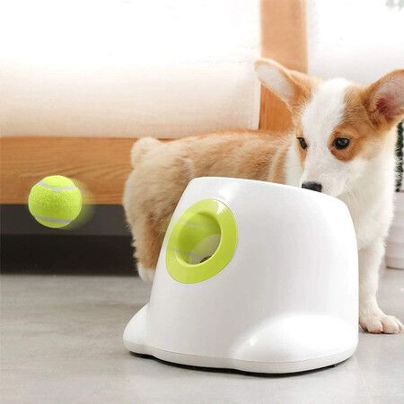 indoor ball thrower for dogs