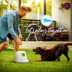 AFP Dog Ball Launcher Thrower Automatic Tennis Fetch Throwing Machine Adjustable Distance with 3 Balls