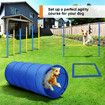 Pawise Dog Agility Equipment Set 28 PCS Pet Obstacle Training Course Tunnel Poles Pause Box Carrying Bags