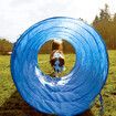Pawise Dog Agility Equipment Set 28 PCS Pet Obstacle Training Course Tunnel Poles Pause Box Carrying Bags
