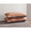 Cosy Club Sheet Set Cotton Sheets Double Orange Brown