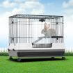 Wheeled Metal Rabbit Hutch Bunny Cage W/Top Front 2 Doors,Easy To Clean Pull Out Tray-81X51X67Cm