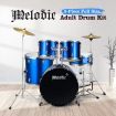 100% Birch Shell Full Size 5-Piece Drum Kit W/ Cymbals Pedal Stool Perfect For Beginners-Blue