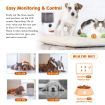 6L Automatic Pet Feeder Dog Cat Food Dispenser W/Voice Recorder Auto Set 1-4 Meals/Day