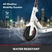 320W Folding & Light Motorized Electric E Scooter W/Shock-Absorp Tyre,App Control,25Km Range/Charge