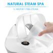 Remove Tough Dirt 2000W Strong Steam Cleaner W/Multi Nozzles For Floor,Window,Glass,Cloth-White