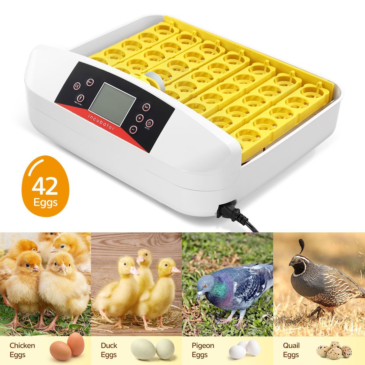 High Success Rate 42 Auto Egg Incubator Auto Turn Egg&Adjust Temp/Humidity For Chickens,Ducks,Goose