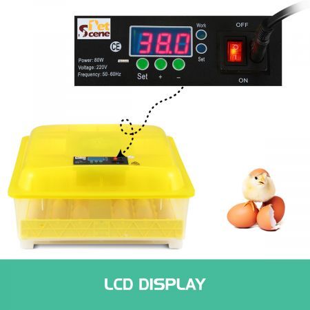 High Success Rate 48 Auto Egg Incubator Auto Turn Egg & Adjust Temp/Humidity For Chickens, Ducks, Goose