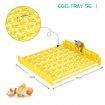 High Success Rate 56 Auto Egg Incubator Auto Turn Egg&Adjust Temp/Humidity For Chickens,Ducks,Goose