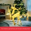 LED Reindeer Christmas Rope Light 10m Fairy Xmas Outdoor Display Decoration Warm White