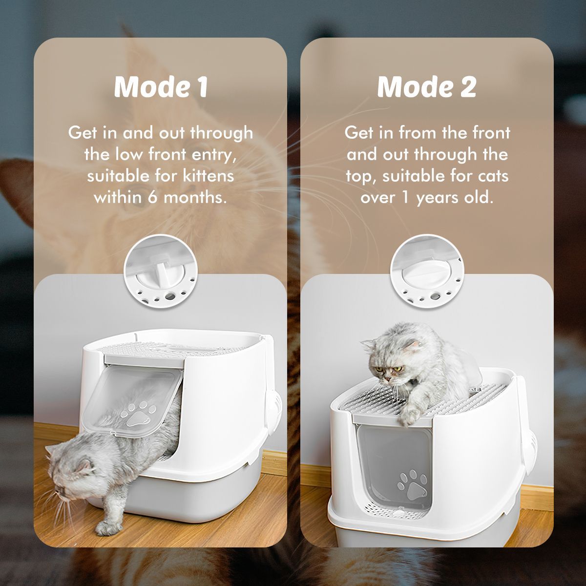 https://img.crazysales.com.au/products_pictures/2589/258903_2136709_F.jpg