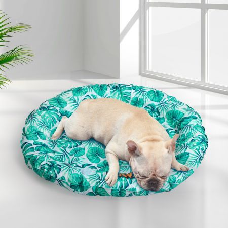https://img.crazysales.com.au/products_pictures/2592/259211_2130759_F.jpg