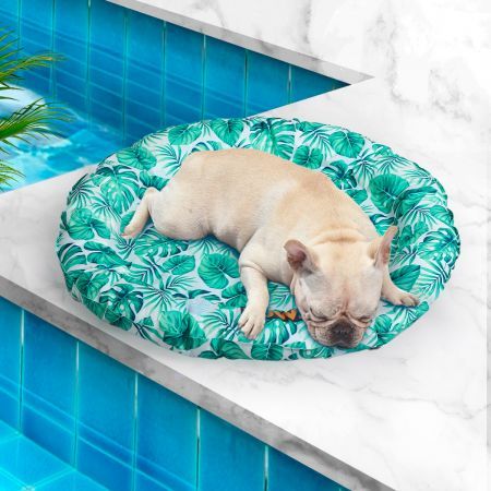 https://img.crazysales.com.au/products_pictures/2592/259211_2130761_F.jpg