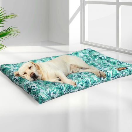 https://img.crazysales.com.au/products_pictures/2592/259213_2130775_F.jpg
