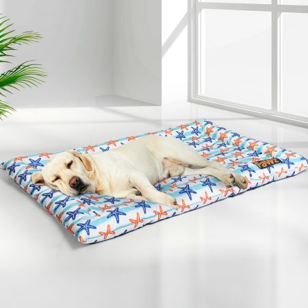 https://img.crazysales.com.au/products_pictures/2592/259227_2130889_F.jpg