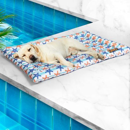 https://img.crazysales.com.au/products_pictures/2592/259227_2130891_F.jpg