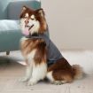 PaWz Dog Thunder Anxiety Jacket Vest Calming Pet Emotional Appeasing Cloth XXL