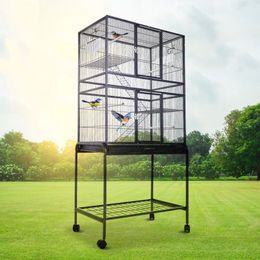 Crazy sales 2025 bird cage