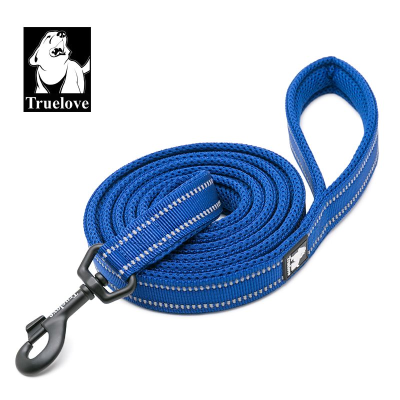 Reflective Pet Leash 2 meters Royal Blue L