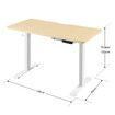 Electric Standing Desk Height Adjustable Sit Stand Office Computer Table Furniture Motorized Dual Motor Nature