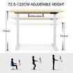 Electric Standing Desk Height Adjustable Sit Stand Office Computer Table Furniture Motorized Dual Motor Nature