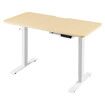 Electric Standing Desk Height Adjustable Sit Stand Office Computer Table Furniture Motorized Dual Motor Nature