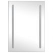 LED Bathroom Mirror Cabinet 50x13x70 cm