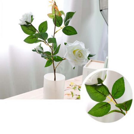 https://img.crazysales.com.au/products_pictures/2616/261661_2158145_F.jpg