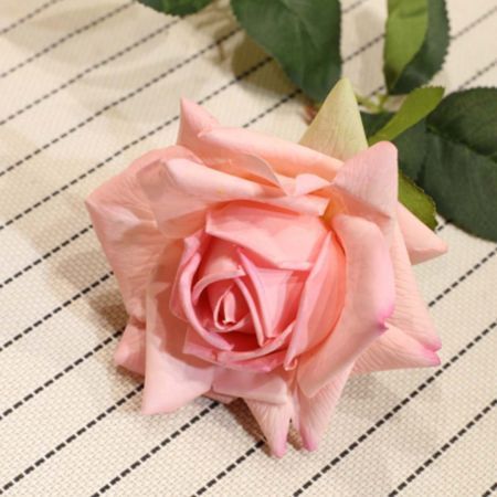 https://img.crazysales.com.au/products_pictures/2616/261661_2158147_F.jpg