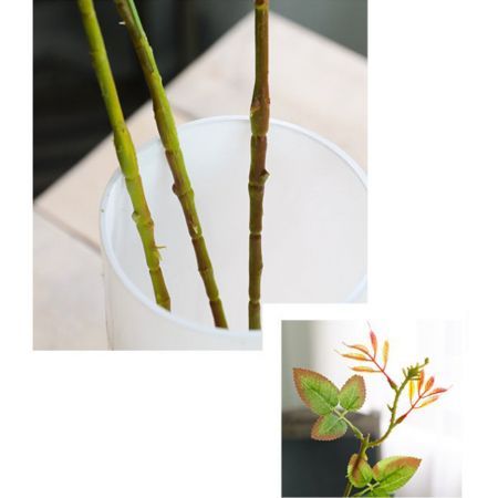 https://img.crazysales.com.au/products_pictures/2616/261663_2158165_F.jpg