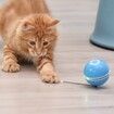 Smart Interactive Cat Toys Colorful LED Self Rotating Ball With Catnip, Bell And Feather USB Rechargeable Cat Ball Toy
