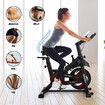 Genki Magnetic Exercise Bike Indoor Cycling Stationary Spin Bicycle Home Gym Cardio Training