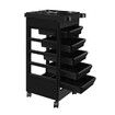 Hairdressing Trolley Storage Rolling Tool Cart Salon Furniture on Wheels 6 Tiers 5 Tray