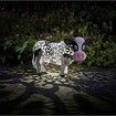 Cow Solar Light,Smart Resin Daisy Cow LED Solar Light 30x20x18cm