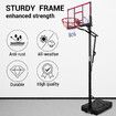 Basketball Hoop Stand System Ring Portable Height Adjustable Fitness Equipment