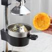 2x Commercial Manual Juicer Hand Press Juice Extractor Squeezer Citrus