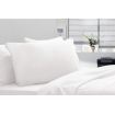 Royal Comfort Signature Hotel Pillow