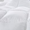 Royal Comfort Goose Feather & Down Quilt Single - 500GSM