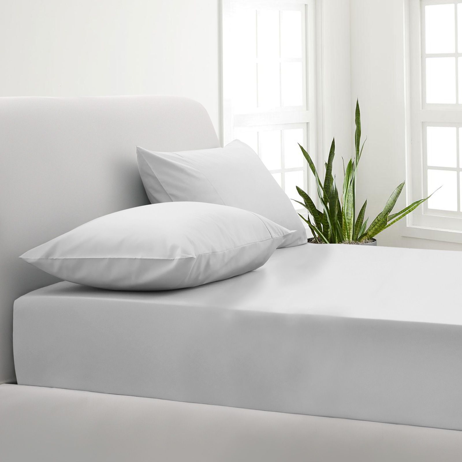 Park Avenue 1000 Thread Count Cotton Blend Combo Set - Single - White