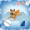 SizeXL 100x70cm Pet Cooling Mat for Dog Puppy Cat Washable Cooling Pad Under 40KG