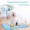 SizeXL 100x70cm Pet Cooling Mat for Dog Puppy Cat Washable Cooling Pad Under 40KG