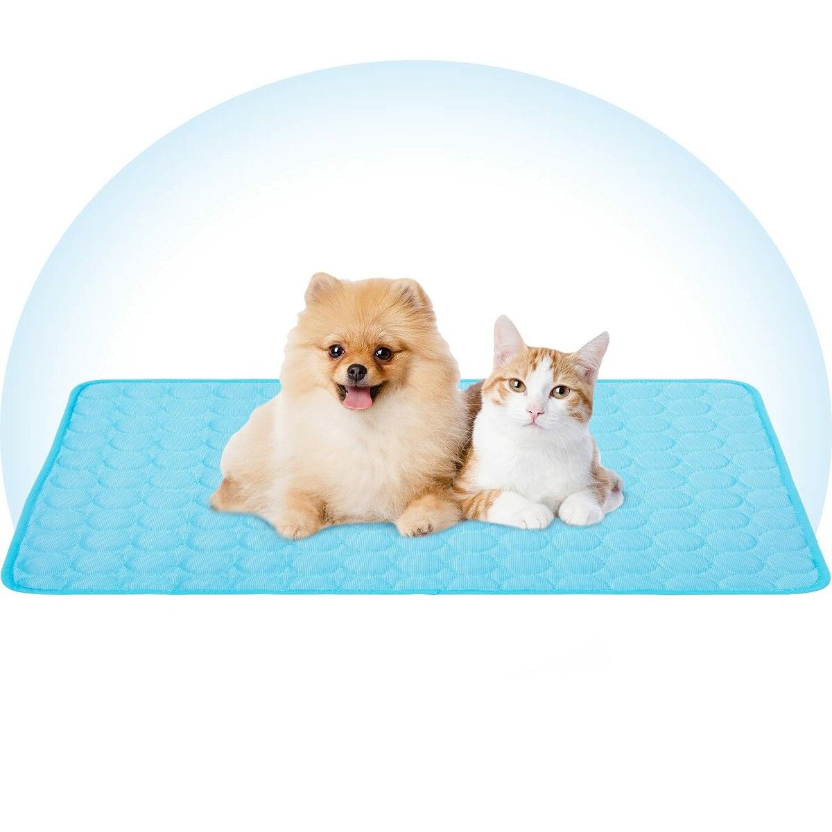 https://img.crazysales.com.au/products_pictures/264/264957_2188725_F.jpg