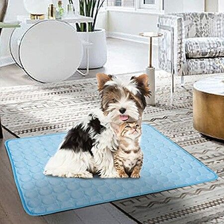 https://img.crazysales.com.au/products_pictures/264/264957_2188733_F.jpg