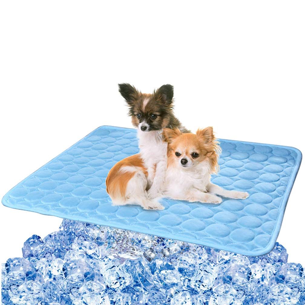 cool mat dog bed