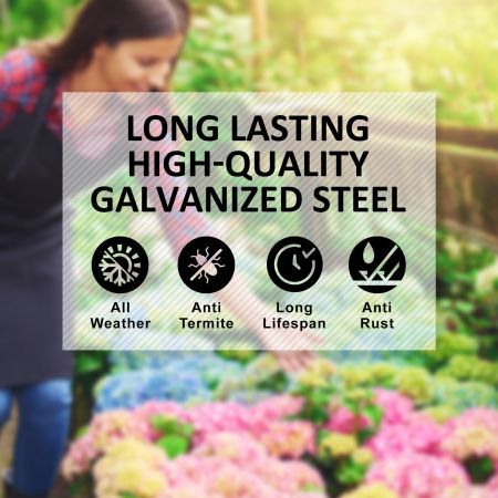 https://img.crazysales.com.au/products_pictures/2642/264289_2182007_F.jpg