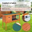 Rabbit Hutch Eden Free Standing Wooden Chicken Guinea Pig Cage