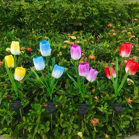 Tulip solar store stake lights