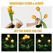 Solar LED Garden Stake Lights Tulip Flowers 1pc ?random color