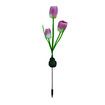 Solar LED Garden Stake Lights Tulip Flowers 1pc ?random color