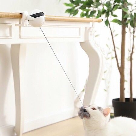 https://img.crazysales.com.au/products_pictures/265/265145_2190949_F.jpg